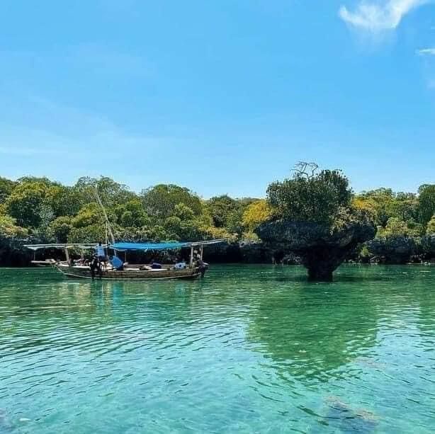 Safari Blue & Blue Lagoon